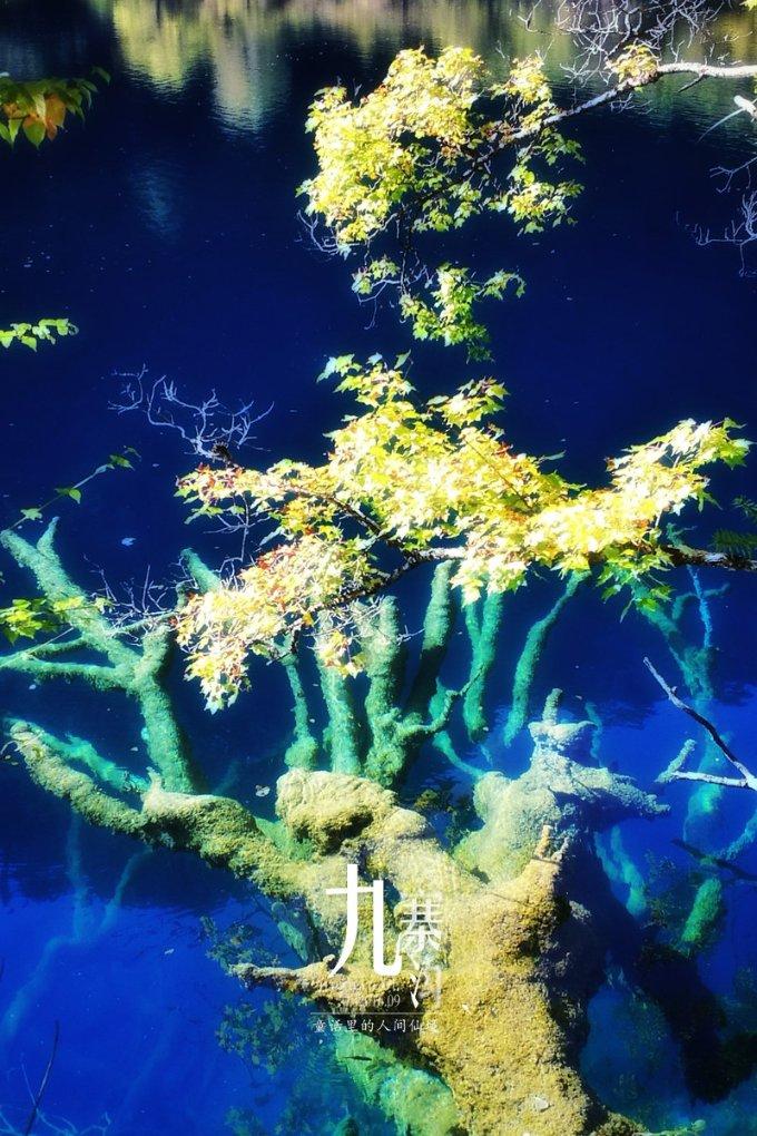 狂打小飞机