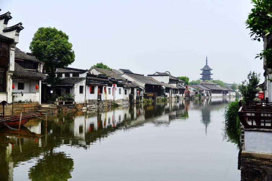 笃行不怠守初心,踔厉奋发启新程——外科第三党支部、外三分会召开2024新春茶话会